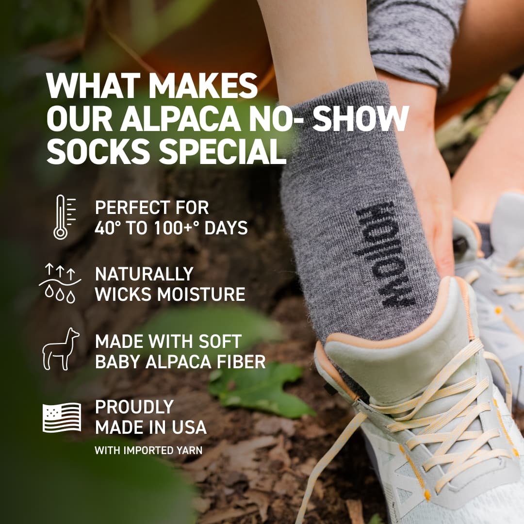 No Show Bundle
